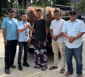 Koptan Kampar Jaya dan KSO PT Agrinas Palma Nusantara Salurkan Hewan Kurban Sambut Idul Adha 1447 H