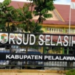 Aktivis HMI Pelalawan Soroti Dugaan Permainan Pendapatan BPJS RSUD Selasih, Minta APH Segera Turun Tangan