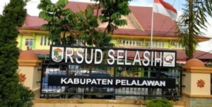 Aktivis HMI Pelalawan Soroti Dugaan Permainan Pendapatan BPJS RSUD Selasih, Minta APH Segera Turun Tangan