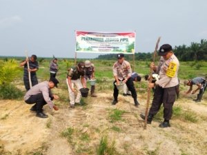 Polsek Bandar Sei Kijang Dukung Ketahanan Pangan, Tanam Jagung Pipil Tahap II di Lahan PT. CDS Seluas 1 Hektar