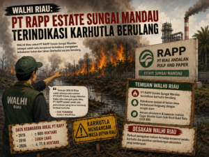 WALHI Duga PT RAPP Berkali-Kali Terlibat Karhutla di Riau