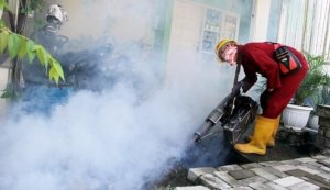 DBD di Pekanbaru Capai 534 Kasus, Tuah Madani Jadi Wilayah Tertinggi